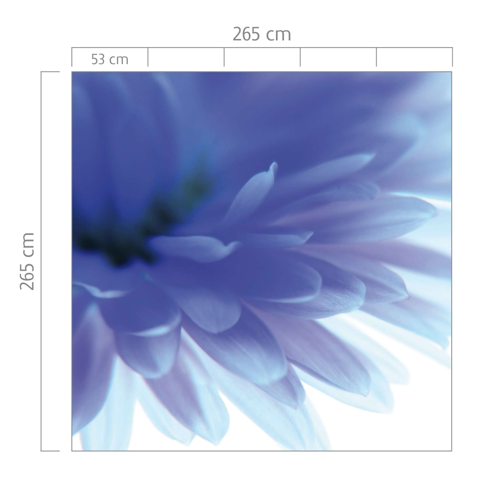 10-890754 Bildauschnitt 1 Flower wall mural in blue 890754