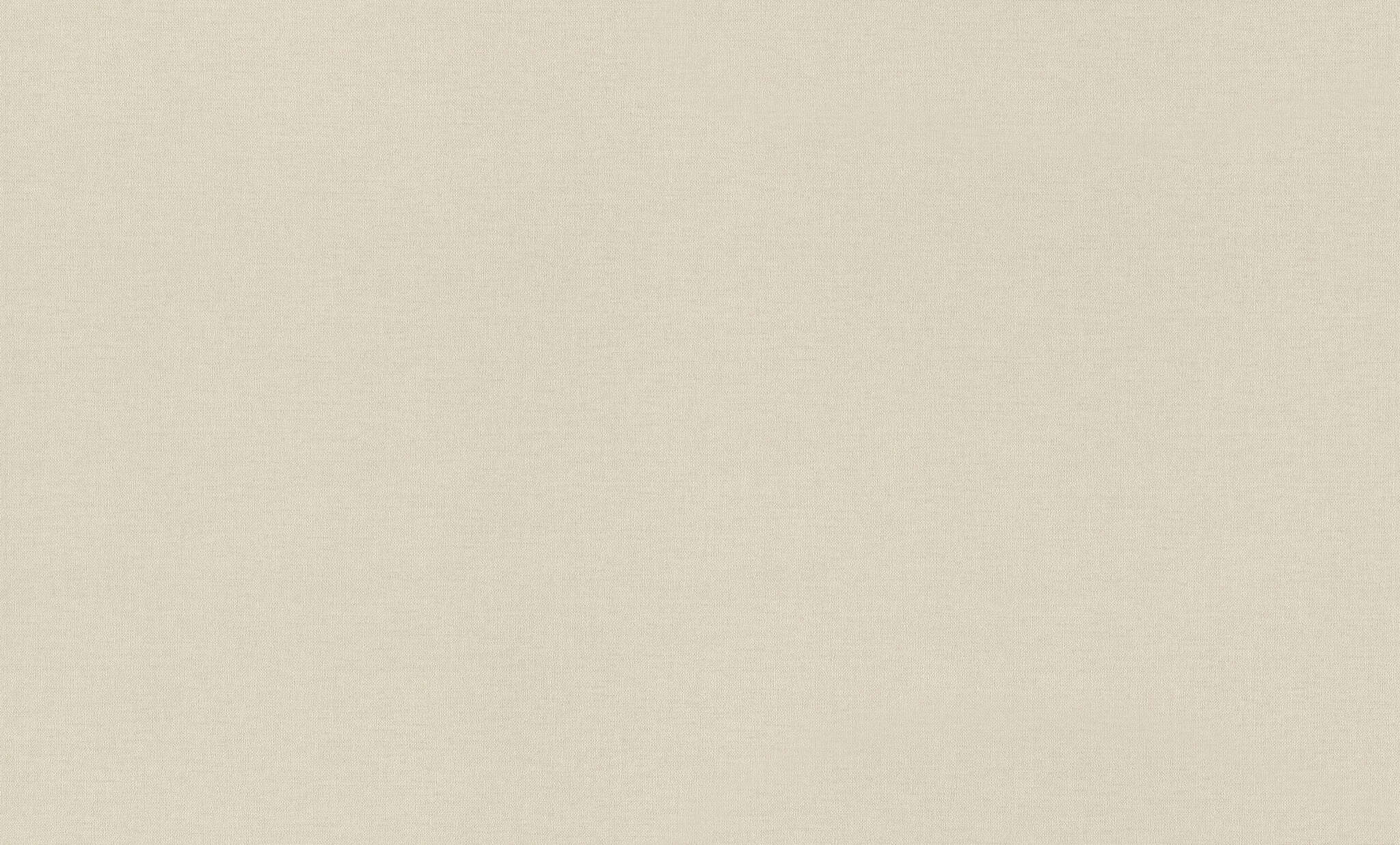 10-971347 Artikelscan 1 Vliestapete in Beige Wall Textures XL Vol. 4 971347