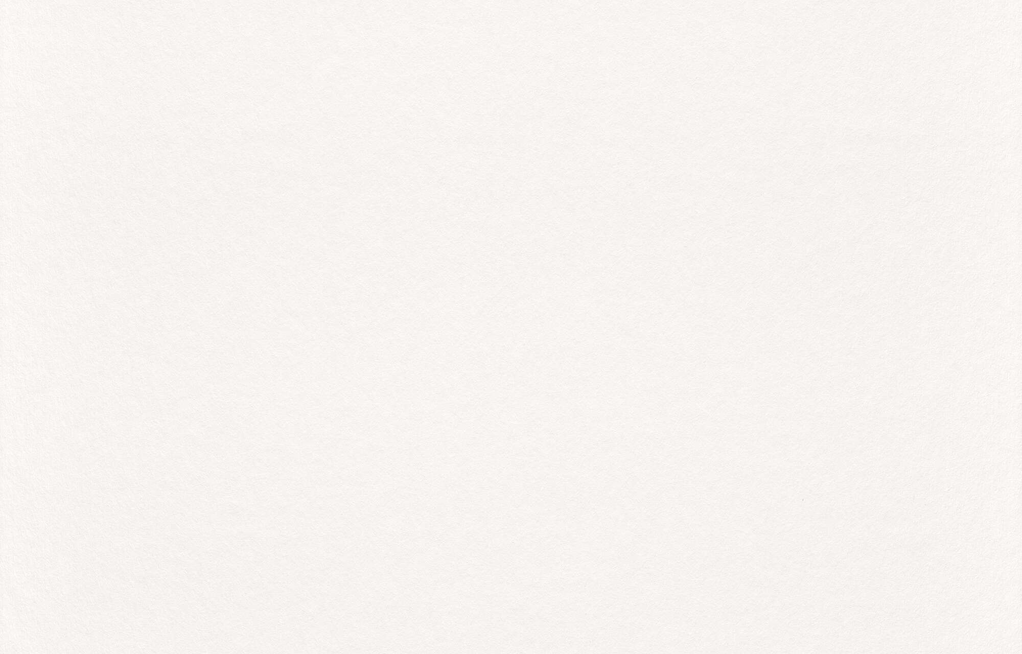 10-116601 Artikelscan 1 Painter's fleece waste fleece 116601 - 50m x 1m - 150 g/m²