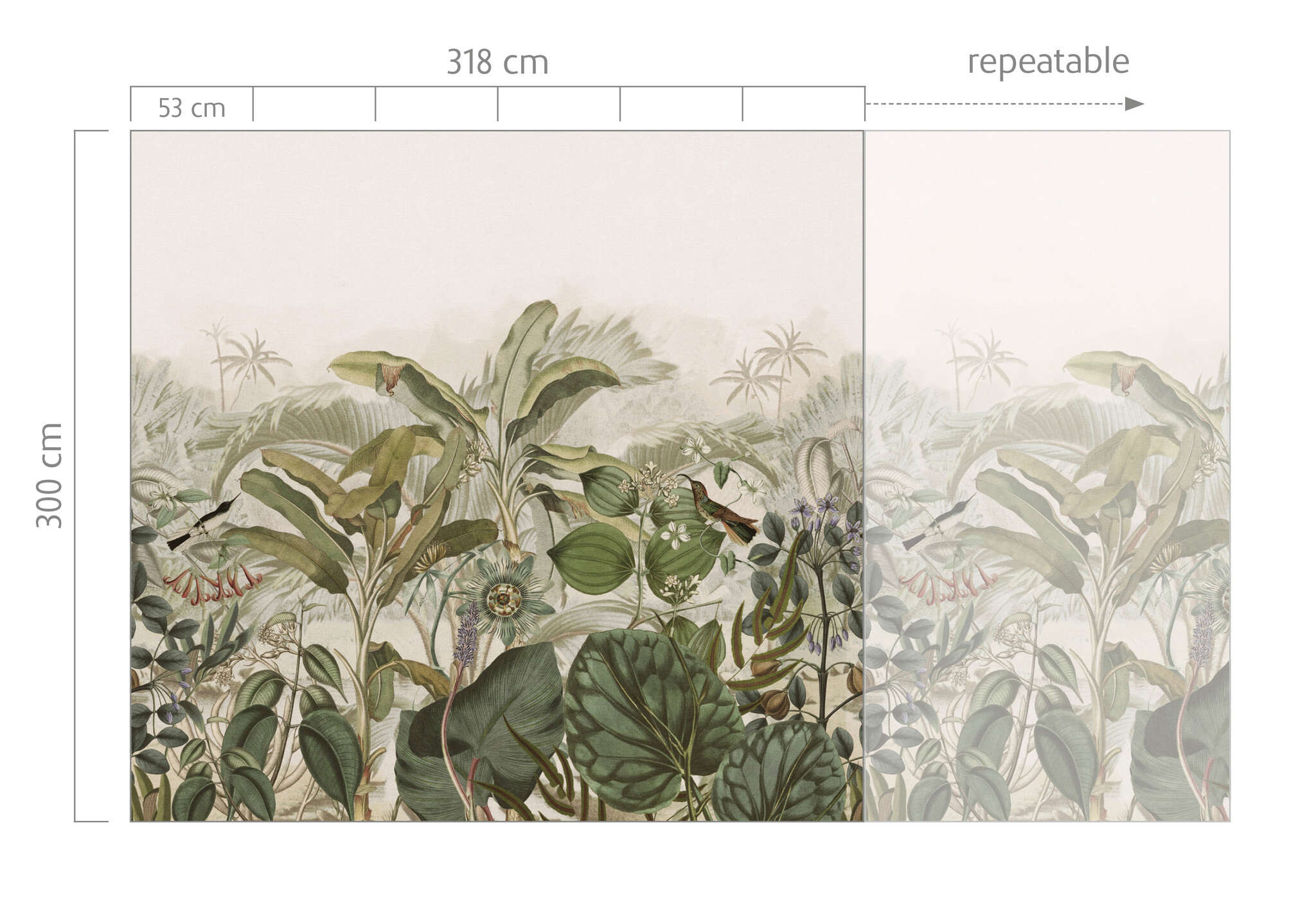 10-543681 Bildauschnitt 1 Tropical plants wall mural in green and beige Curiosity 543681