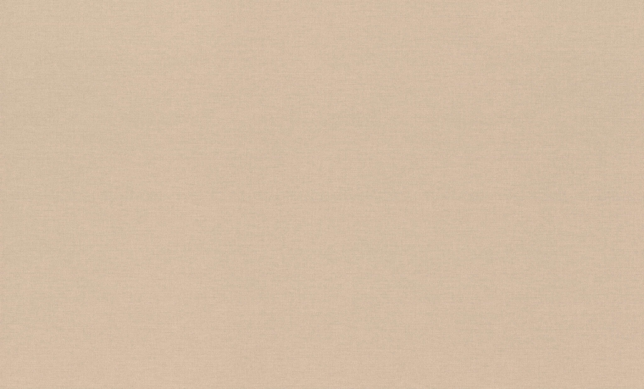 10-971439 Artikelscan 1 Vliestapete in Braun Wall Textures XL Vol. 4 971439