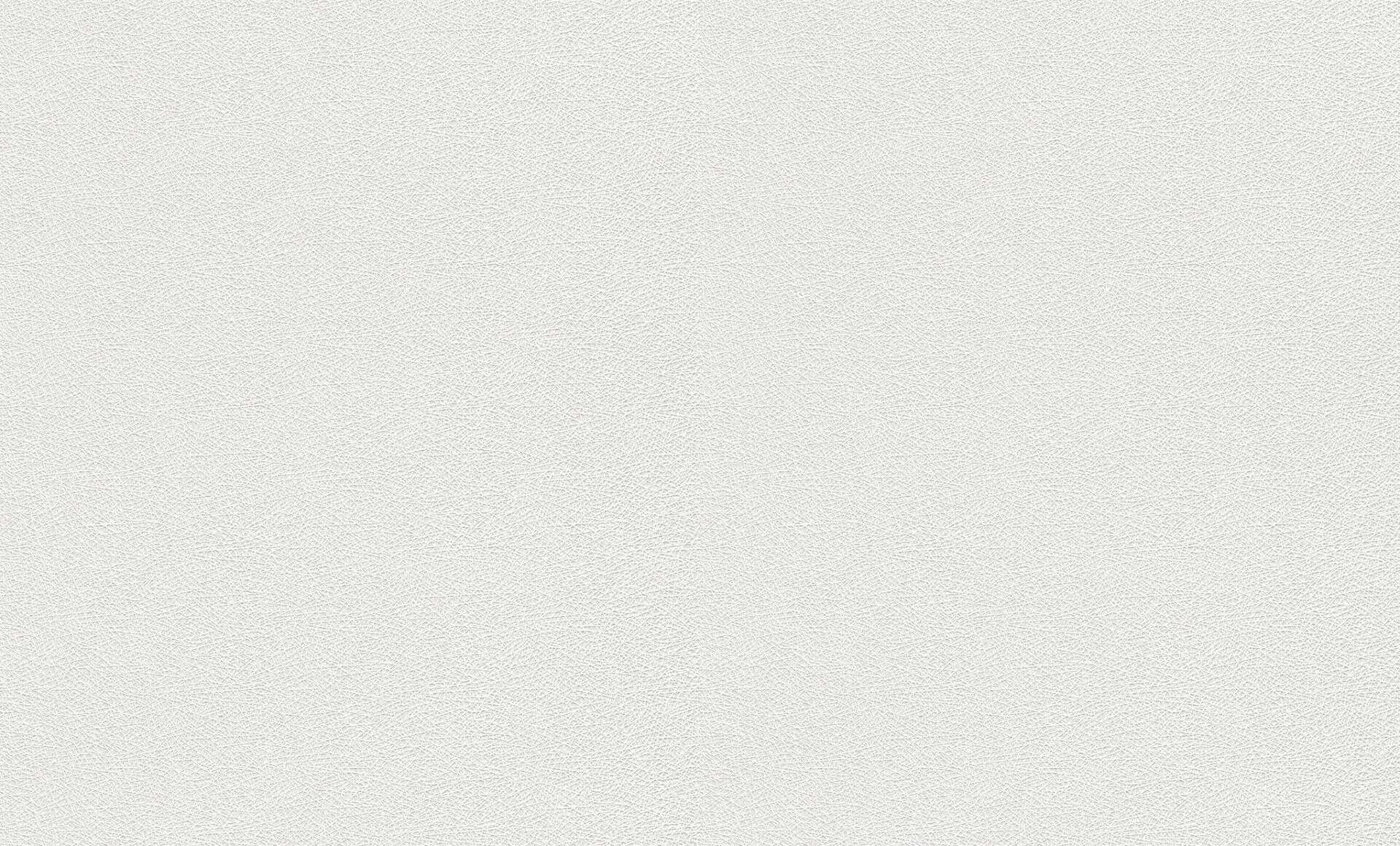 Wallton überstreichbar 25m 178814 | 10-178814